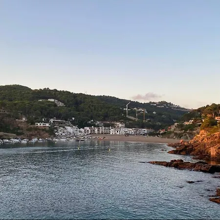 Quintaneta * Begur