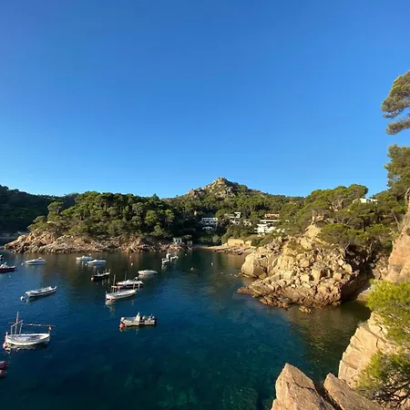 Quintaneta