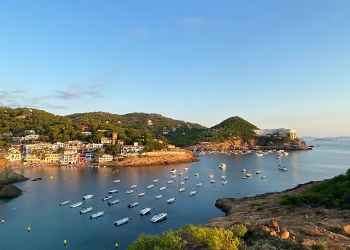 Quintaneta * Begur
